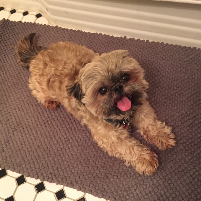 axel-foley-rug-smiles